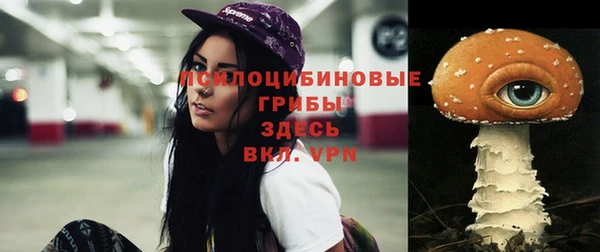 дмт Покровск
