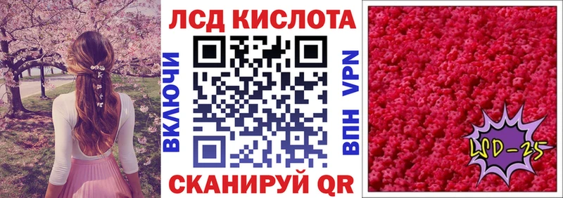 купить закладку  Рудня  Марки 25I-NBOMe 1,8мг 