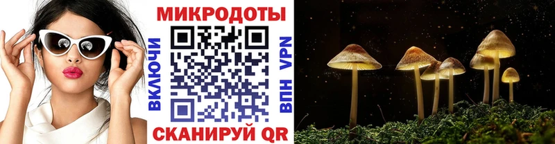 Галлюциногенные грибы MAGIC MUSHROOMS  даркнет клад  Рудня  где найти наркотики 